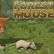 Forest Mouse