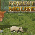 Forest Mouse